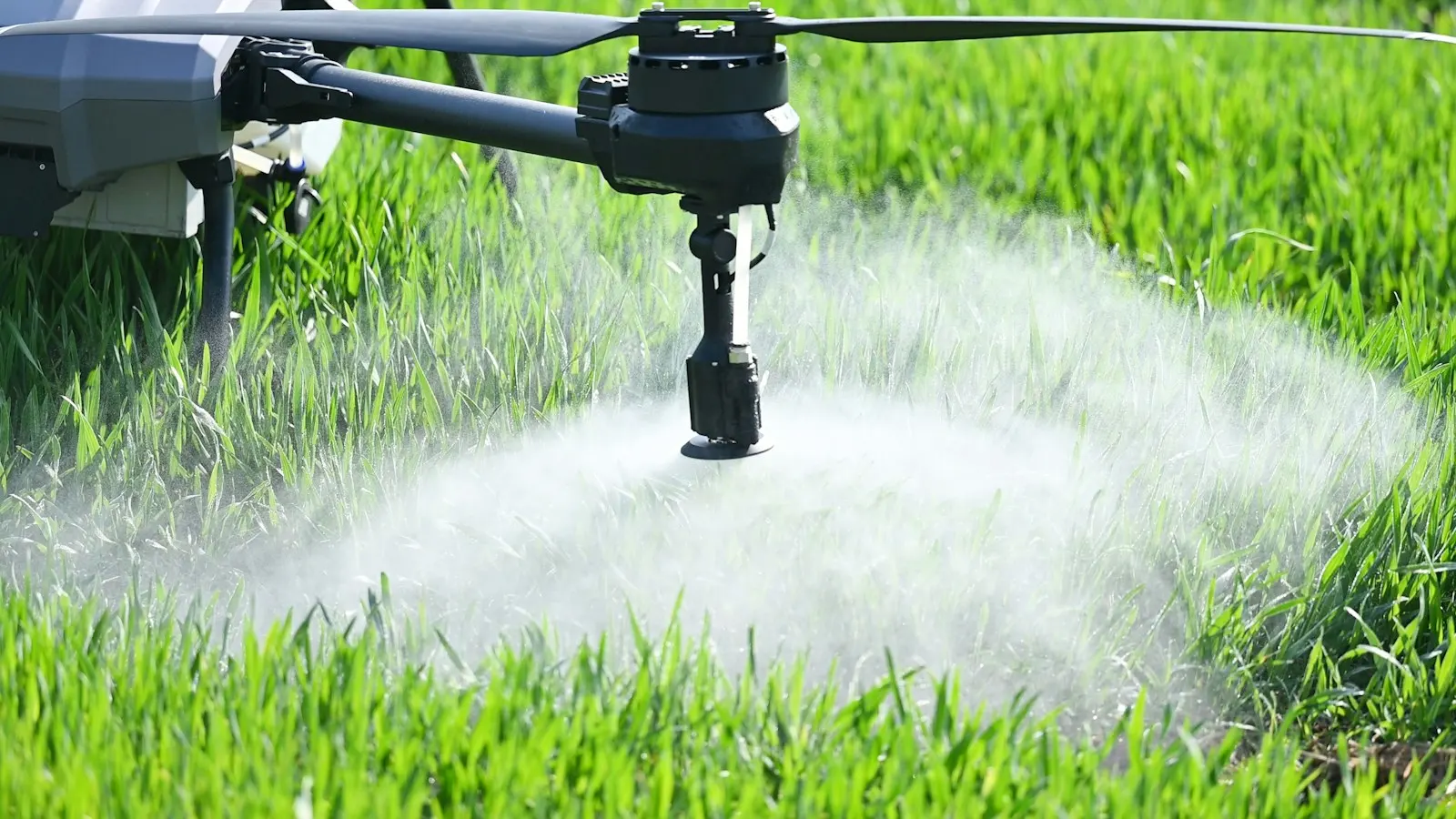 Drone agrícola pulverizando uma lavoura em voo baixo