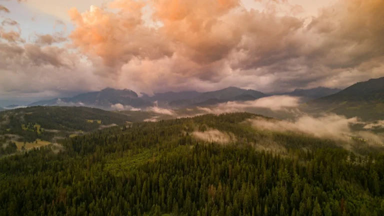 Fotografia aérea de montanhas cobertas de floresta com nuvens alaranjadas ao pôr do sol